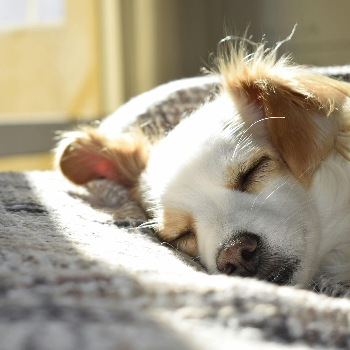 Kervola Accounts Maatalouden kirjanpito asiantuntemuksella ympäri Suomen